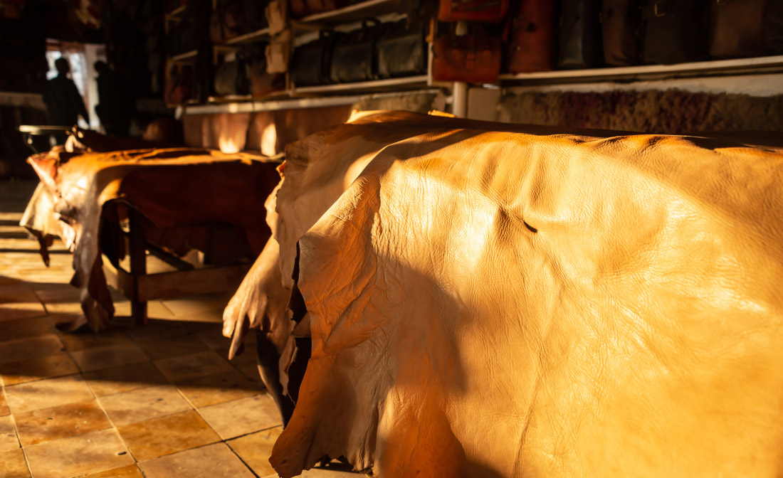Leather Manufacturing Industry in Latin America | 1Ci ERP